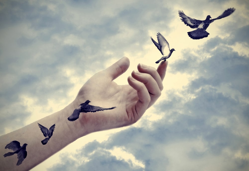 How To Use NLP to Let Go And Find Peace of Mind In Hard Times
