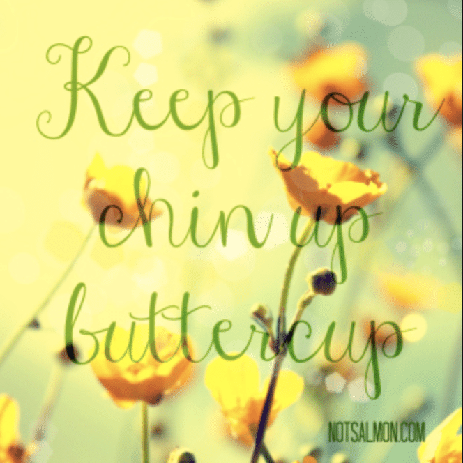 chin up butter cup quote karen salmansohn notsalmon