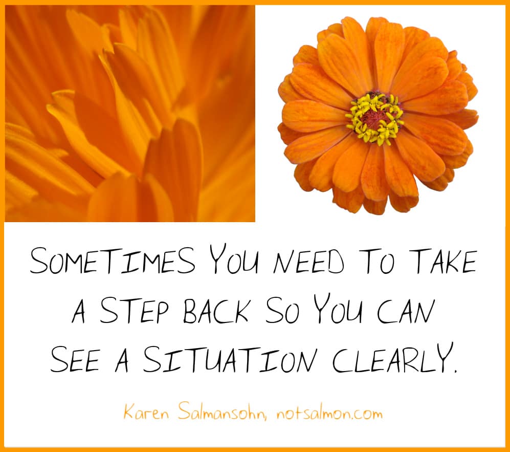 Sometimes you need to take a step back so you can see a situation.