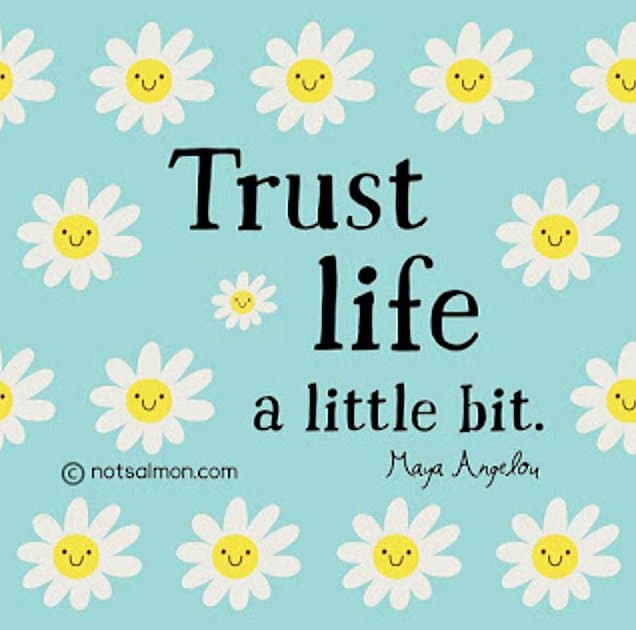 trust life a little bit maya angelou