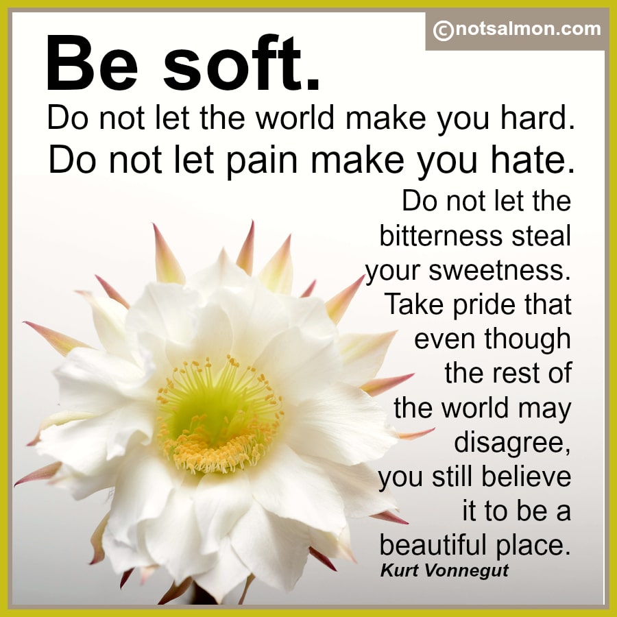 confidence quotes