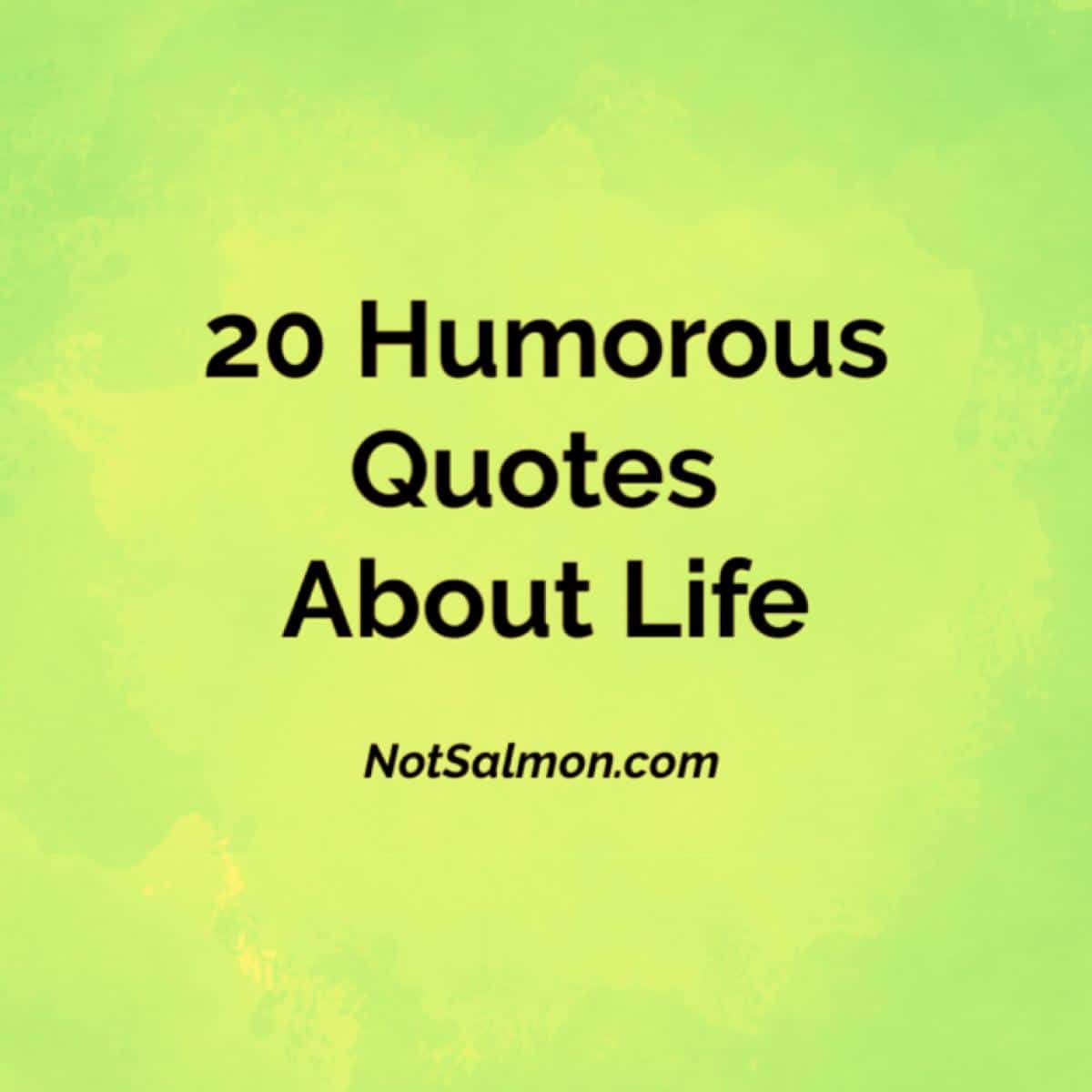 22 Ideas for Humorous Quotes About Life - Home, Family, Style and Art Ideas