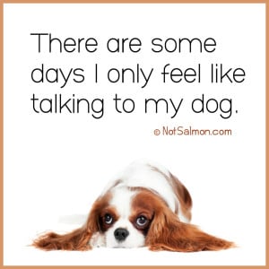 ways dog happier healthier
