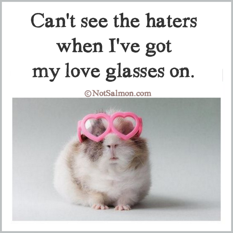 quote haters love glasses