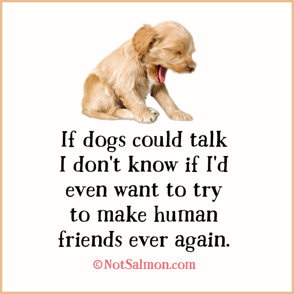 quote dogs talk friend