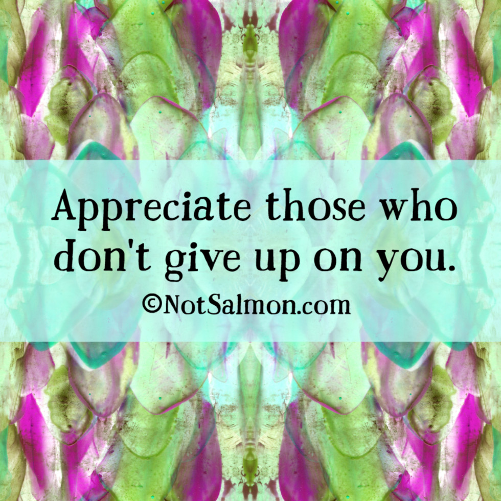 don't give up