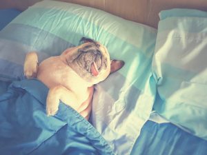 How and Why to Get More Sleep! (Consider This Your Wake Up Call!)