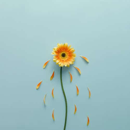 This Tool Saved Me From Depression: A Simple Treatment To Be Happier