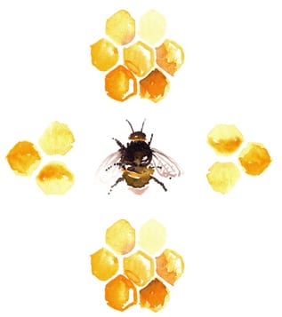 Illustration of bee and honeycomb