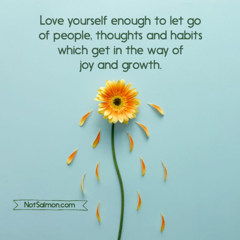 Love yourself enough to let go of people, thoughts and habits which get in the way of joy and growth. NotSalmon.com