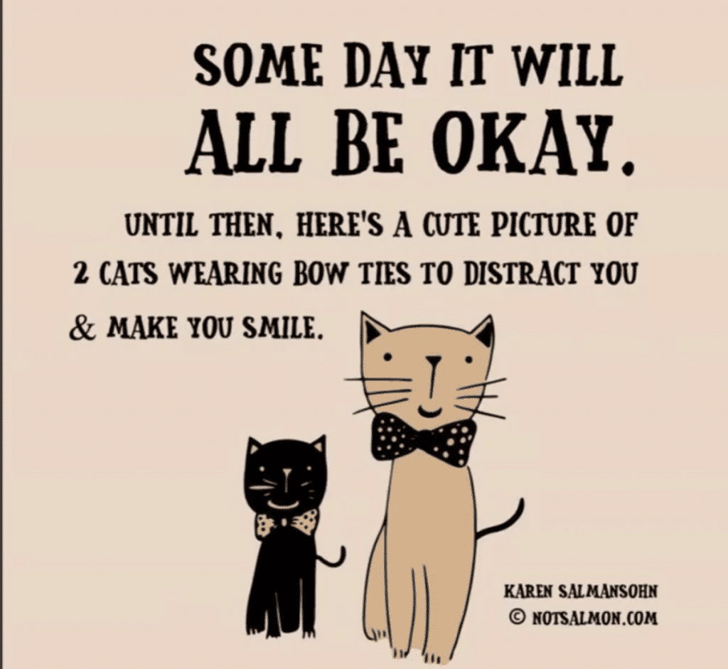 some day it will be okay sense of humor about life