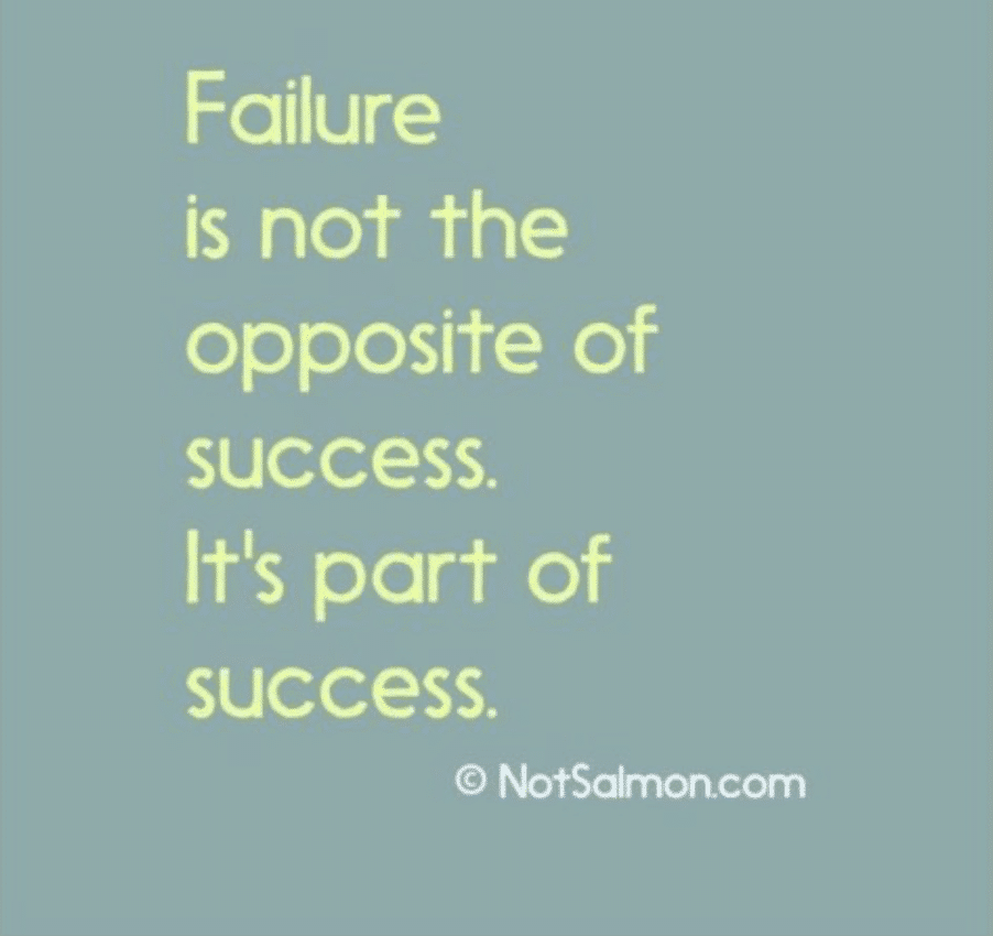 failure is not the opposite of success