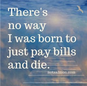 quote no way i was born to pay bills and die