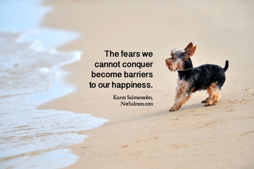 10 Uplifting Courage Quotes About Conquering Our Fears