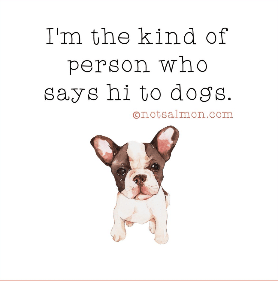 I'm the kind of person who says hi to dogs. Karen Salmansoh