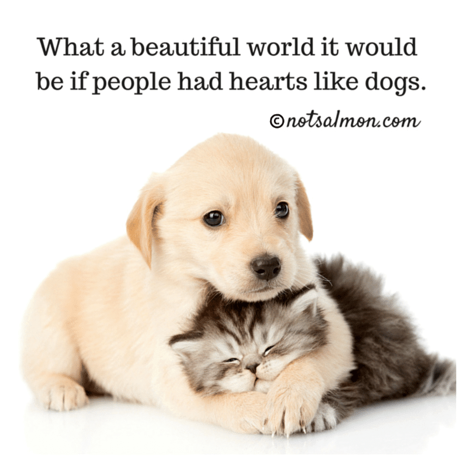 Dog Quote for Dog Lovers #4