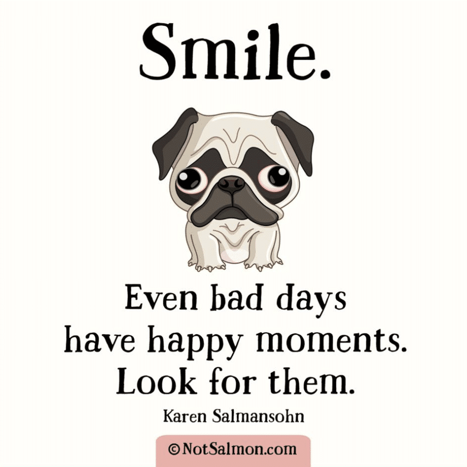 funny Dog Quote