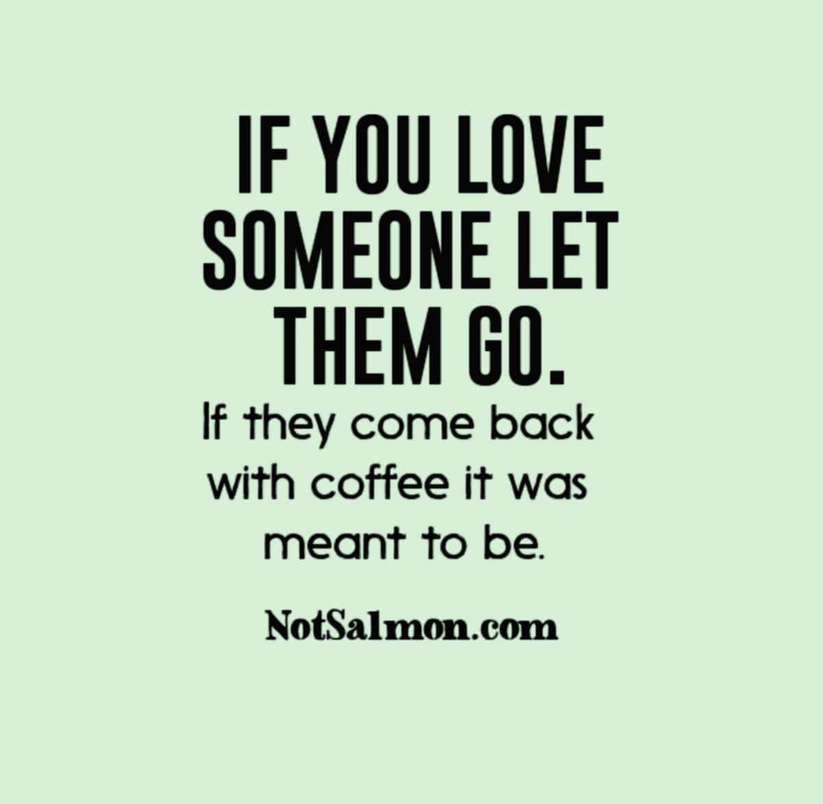 10 Funny Quotes About Life Which People Loved on Instagram.