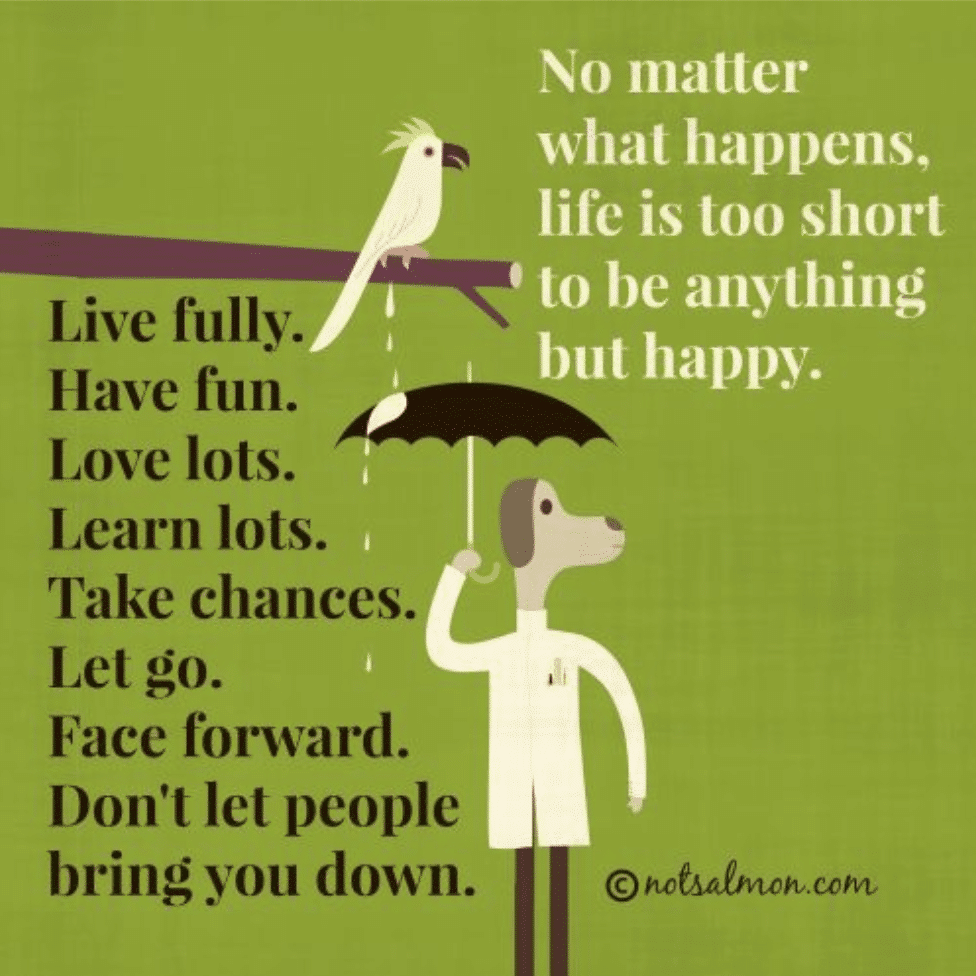 Life is too short quote