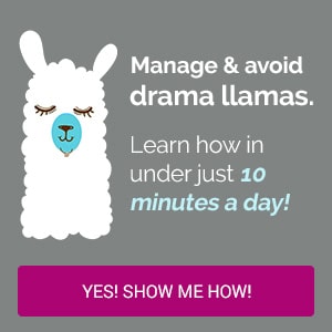 No Drama Llama Video Course Ad