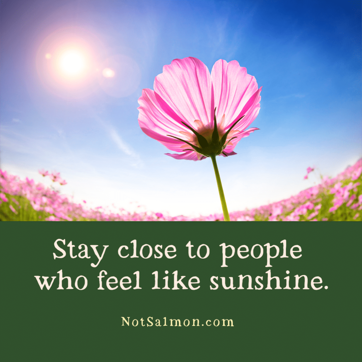 Stay close to people who feel like sunshine quote reminder