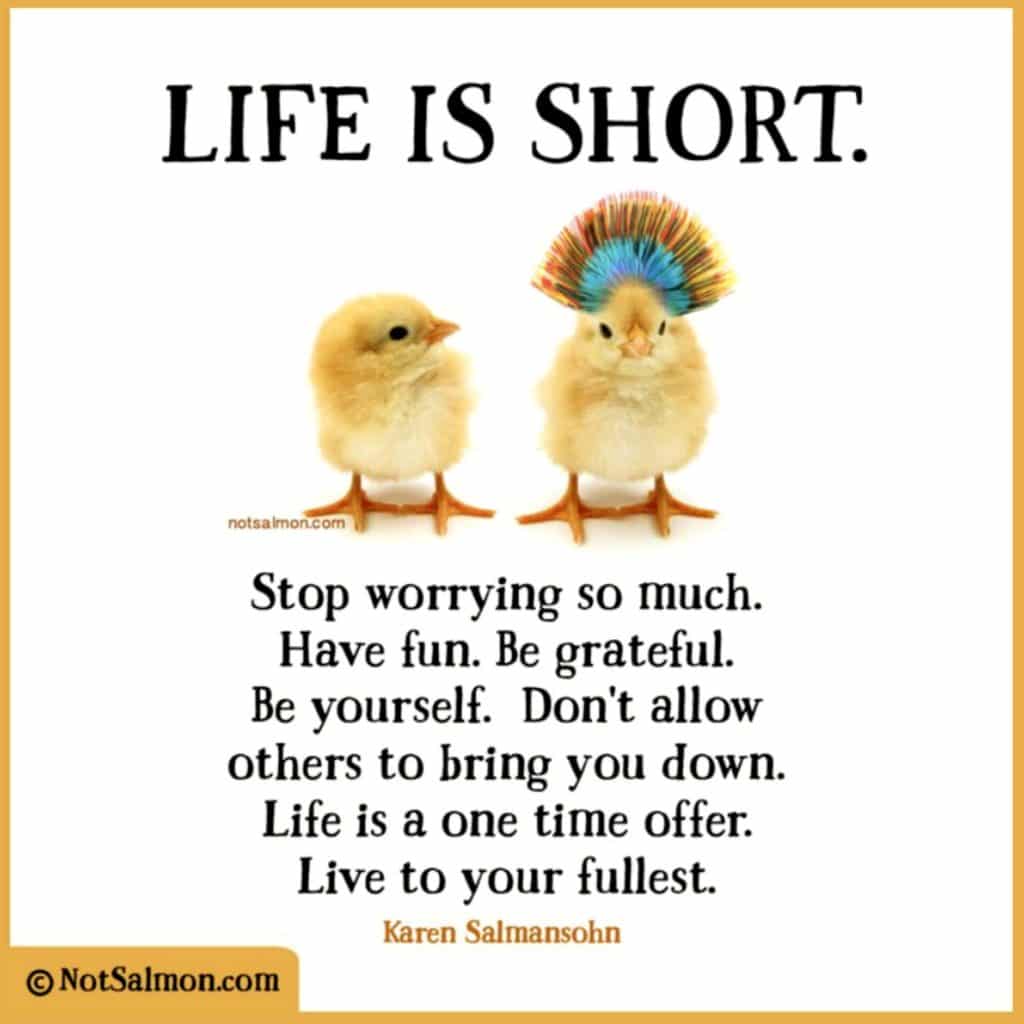Lessons Learned In Life quotes