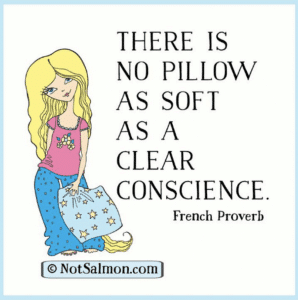 sleeping pillow clear conscience