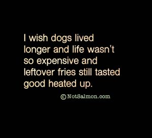 dog quote