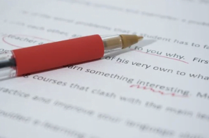 The Beginner’s Guide to Writing a Great Essay