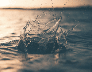 The Best Water Pump For Your Home
