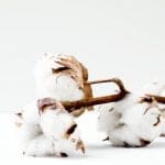 5 Amazing Benefits Of Cotton You Probably Didn't Know