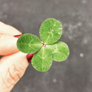 Famous Gamblers' Quotes About Betting on Yourself and Taking Risks