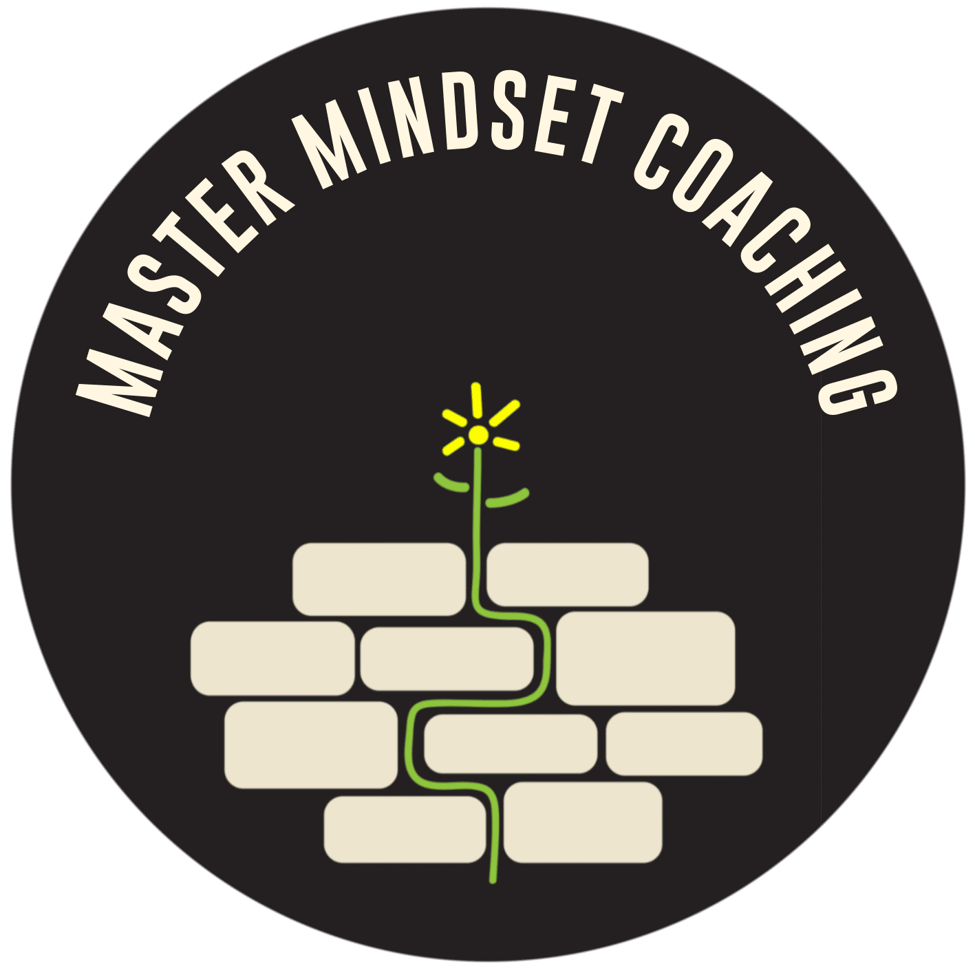 MATER MINDSET COACHING KAREN SALMANSOHN