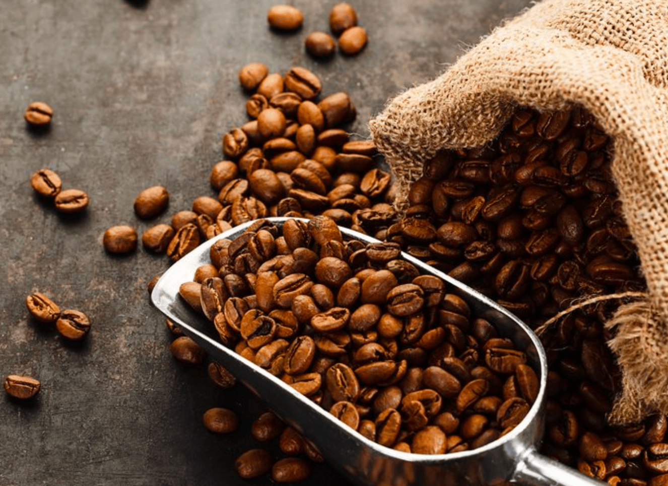 Best Coffee Beans for an Amazing Cup of Coffee