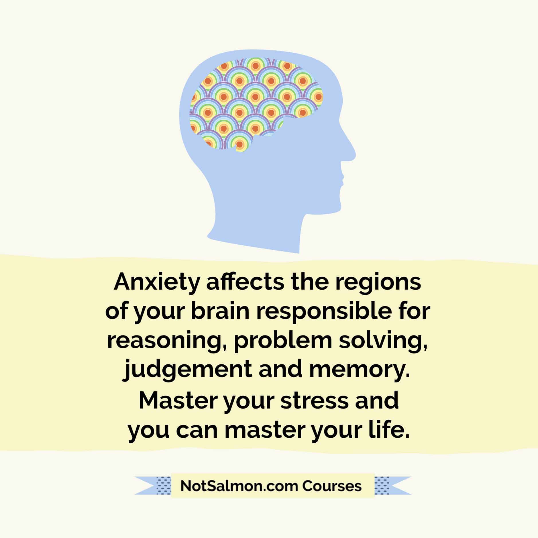 anxiety affects regions of the brain master stress master life