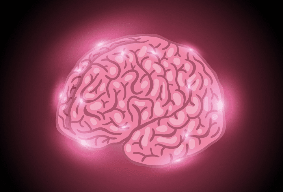 Filing a Brain Injury Claim? Why Legal Guidance Changes Everything