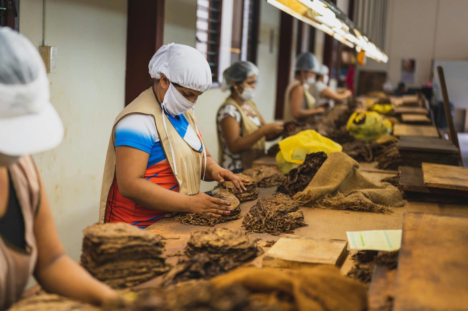 Building Consumer Trust: Transparent Manufacturing Practices