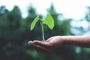 increase Success With Your Business In 2025