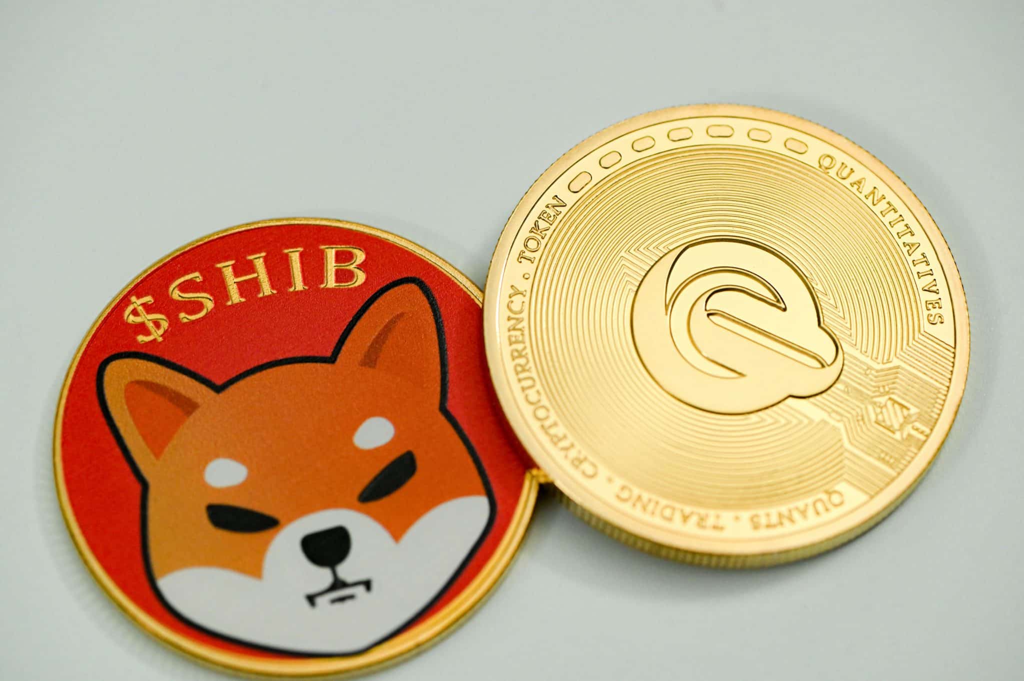 Bullish Signal? Crypto Whales Invest Heavily In Shiba Inu