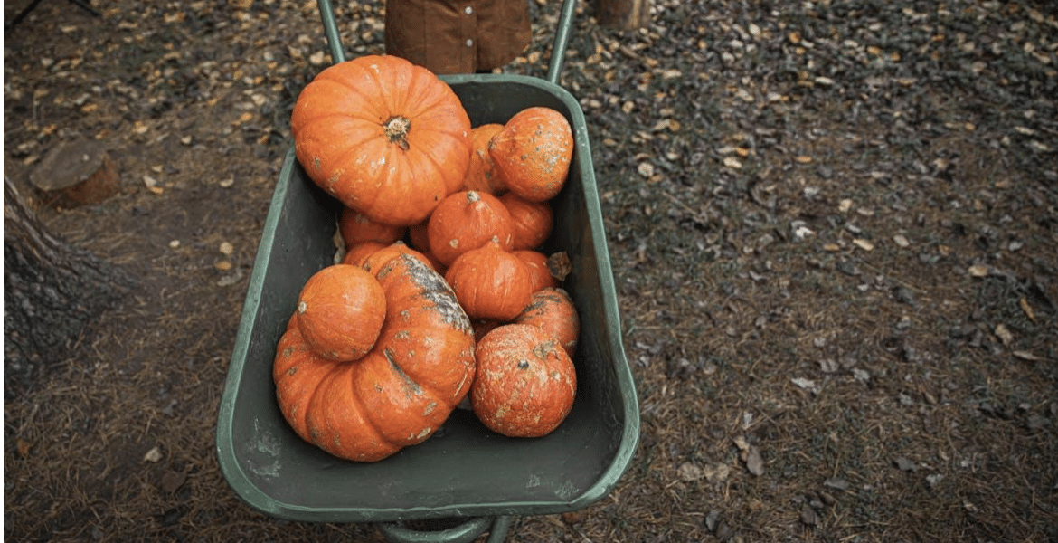 Unlocking Change: The Psychology of Habits and How Small Shifts Make a Big Impact