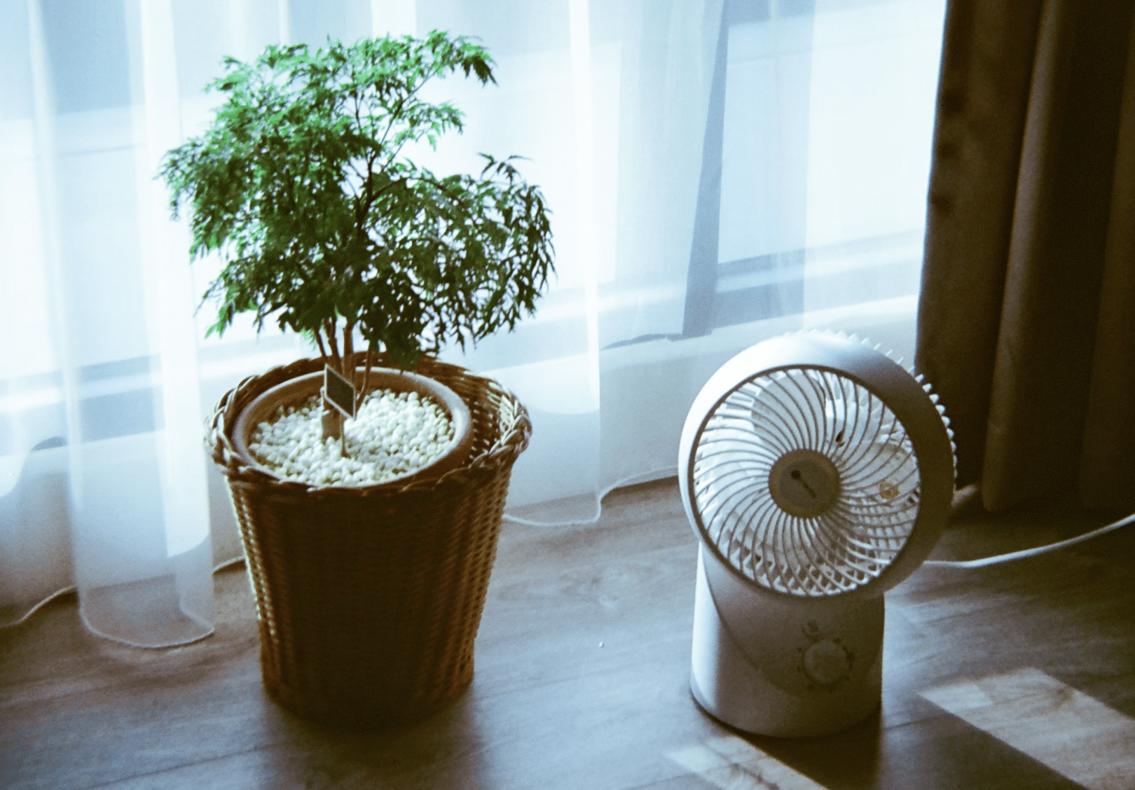 Why Your Mental Wellness Depends on Clean Indoor Air