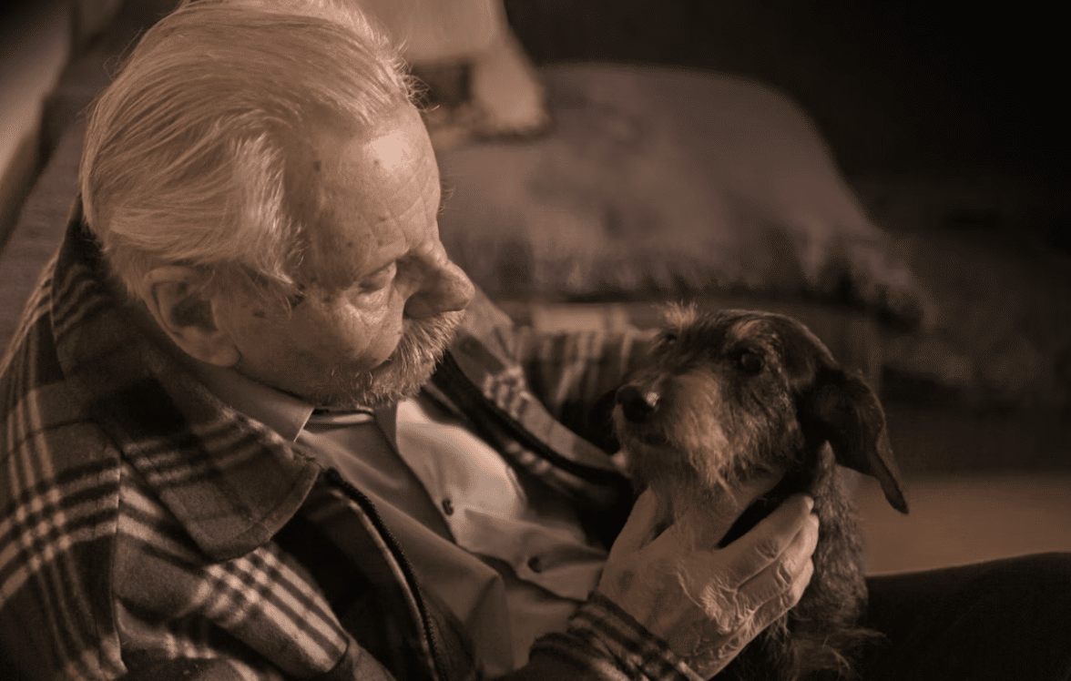 Pet Therapy at Home and Beyond: How Animals Help Seniors Thrive