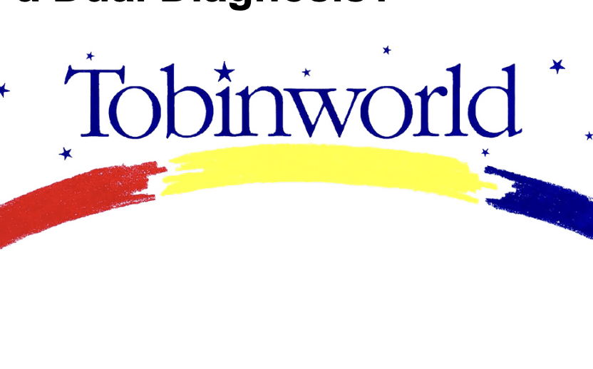 What Is a Dual Diagnosis?