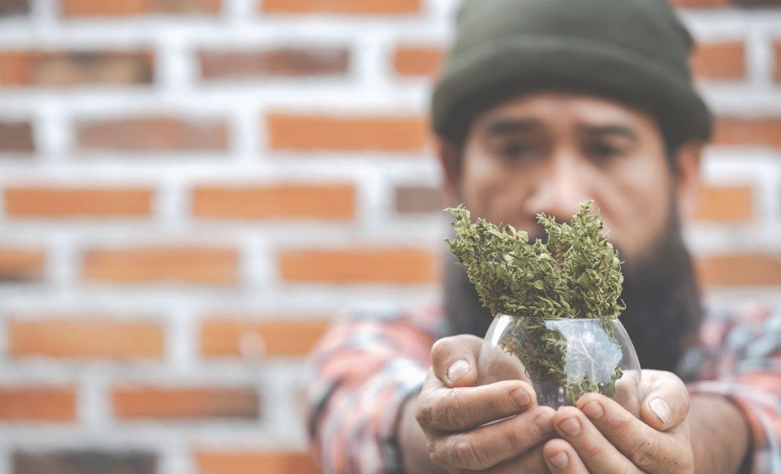 Why Product Knowledge Matters When Choosing a Cannabis Retailer