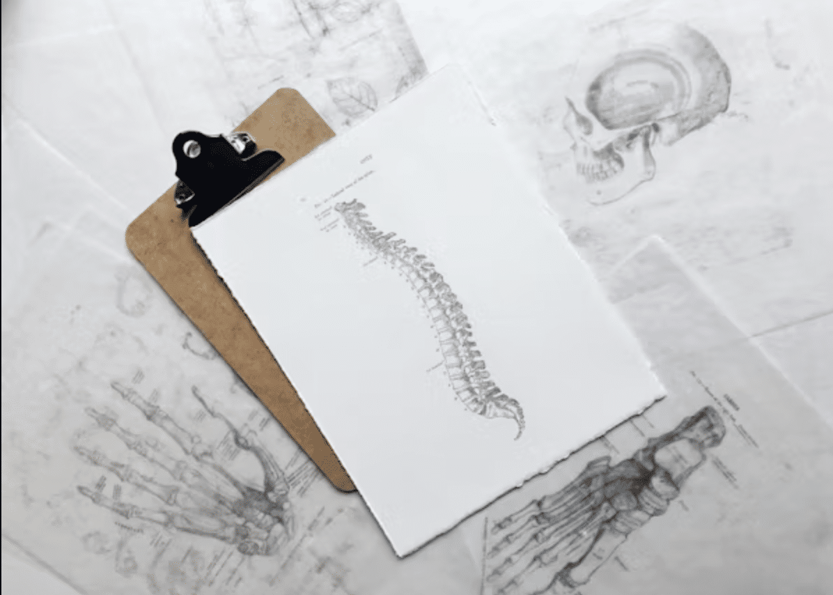 How Chiropractic Care Boosts Mood and Reduces Everyday Stress