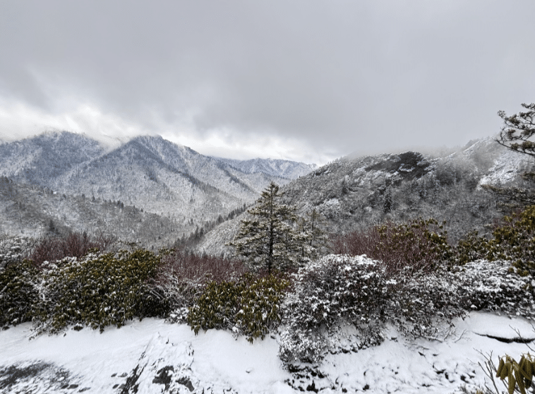 How to Make Your Destination Wedding Feel Personal and Unique