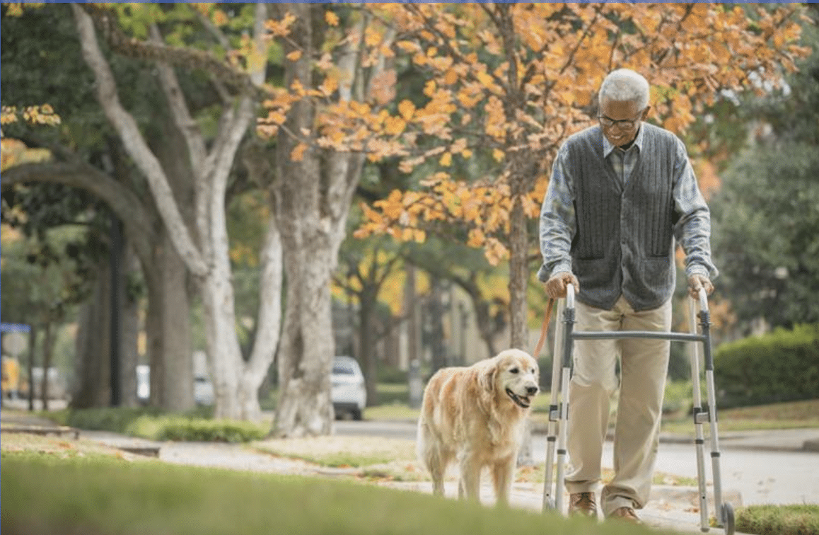 older man walker injury dog Recovery Needs