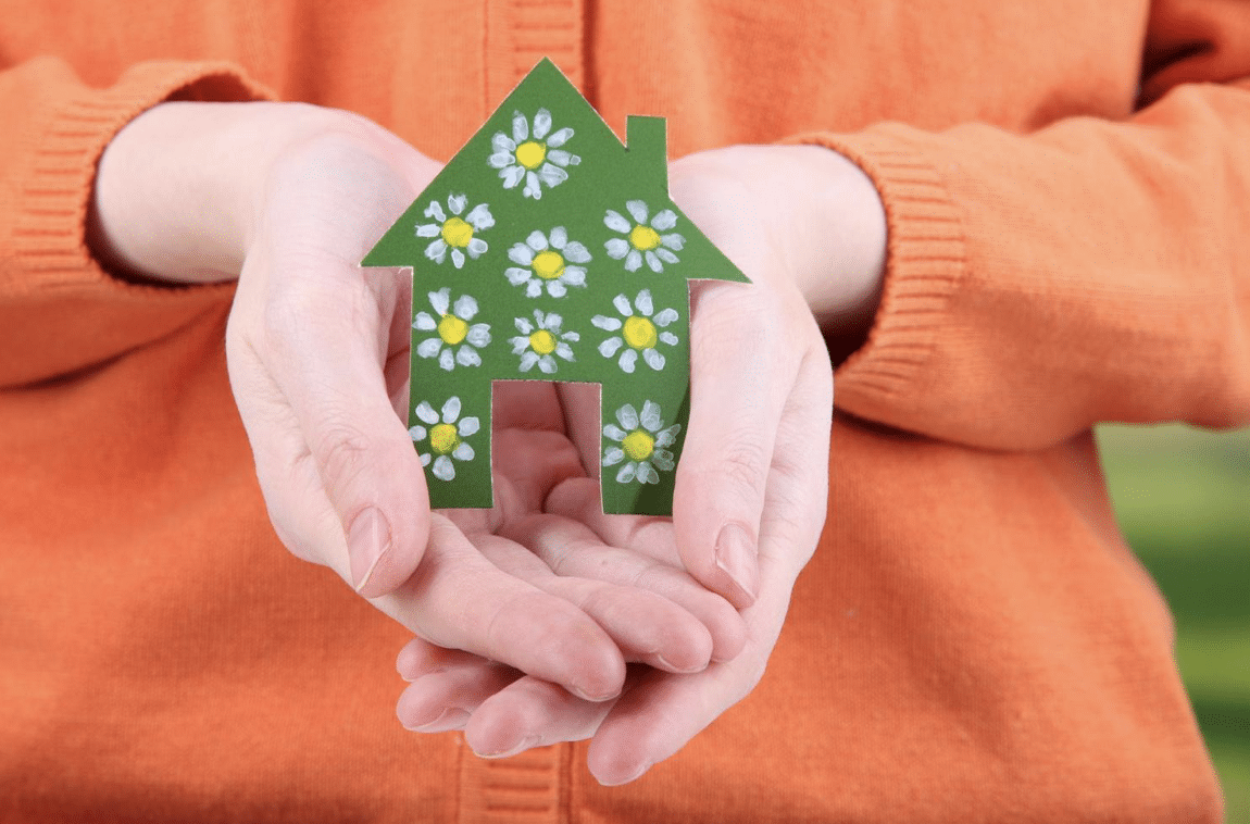 Creating a Home That's Kinder to the Planet and Your Wellbeing