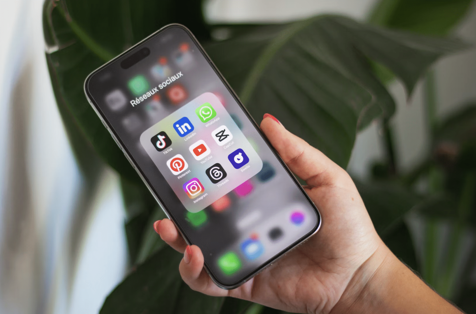 Maintaining a Healthy Social Media Following
