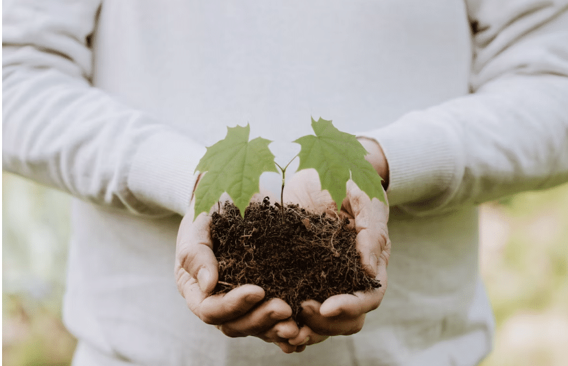 How to Future-Proof Your Business Against Environmental Risks